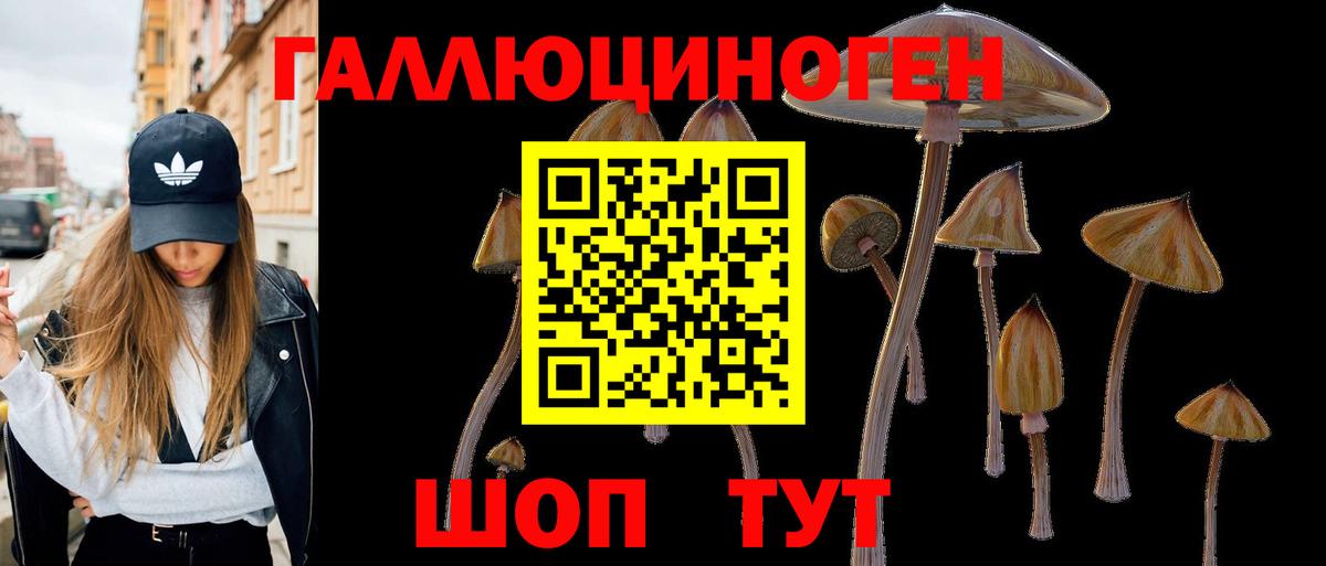 Псилоцибиновые грибы Psilocybine cubensis Елец
