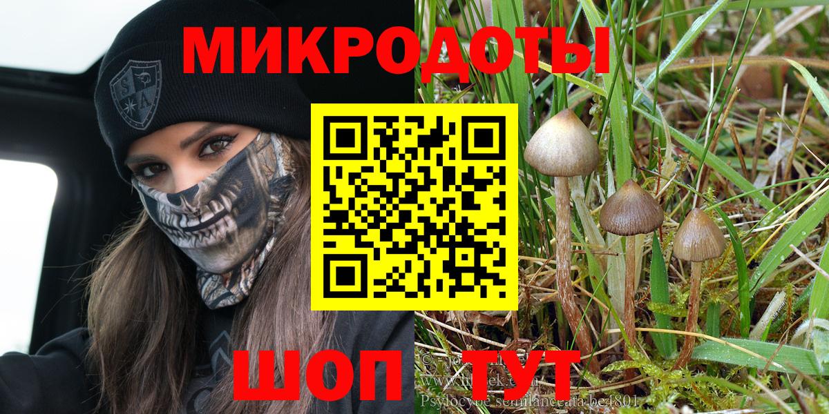 Галлюциногенные грибы мухоморы  Вход с VPN  Елец 